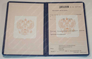  1993-2006 года